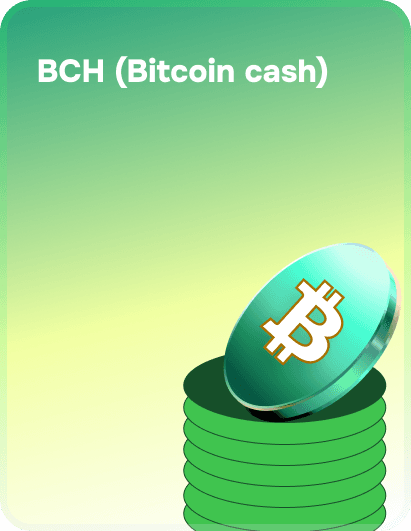 BCH (Bitcoin Cash)